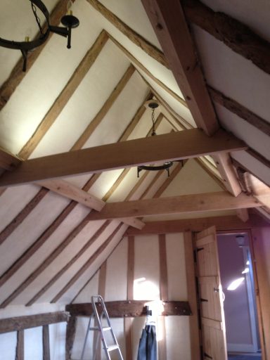 Interior view of a room with wooden beams, sloped ceiling, and a ladder.