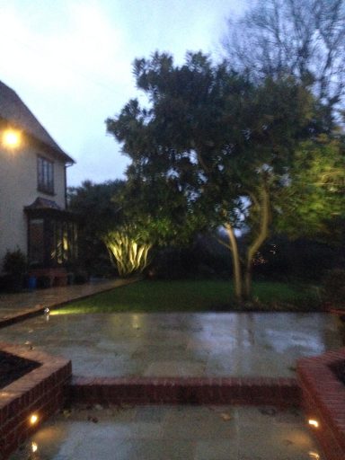 A garden with a tree, surrounded by a patio, illuminated by evening lights.