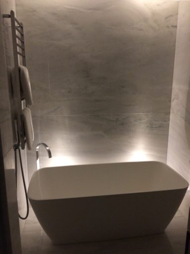 Modern bathroom featuring a freestanding tub and ambient lighting.